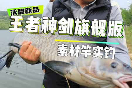 王者神剑旗舰版实钓分享，30+大青轻松拿捏！