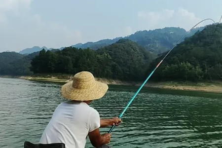 唐·超轻小综合实钓分享，超轻手感连竿不停！