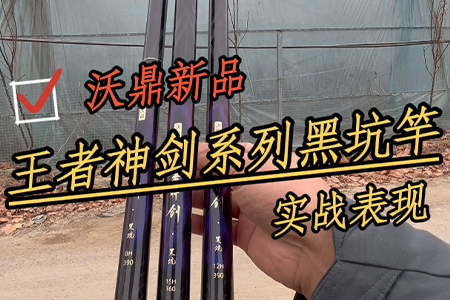 沃鼎王者神剑系列黑坑竿实战，想上岸就选它！