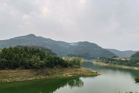 钓鱼知识｜小暑过后牢记“五钓五不钓”，渔获直接拉满！
