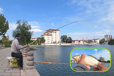 新品情报 | 沃鼎GT Mini超轻小综合竿实钓来袭，性能强悍！