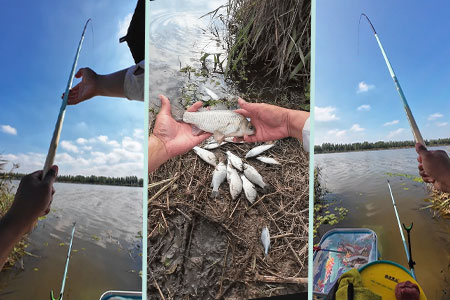 新品情报 | 沃鼎王者神剑极轻小综合5.4m实钓，小鱼直飞！