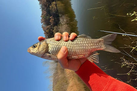钓鱼知识 | 冬钓隔夜窝这样打，第二天鱼获翻倍！