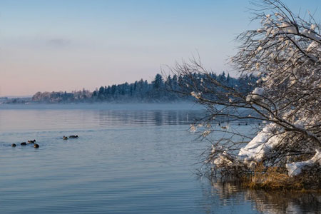 钓鱼知识 | 下雪天钓鱼，这些黄金时段要抓住！