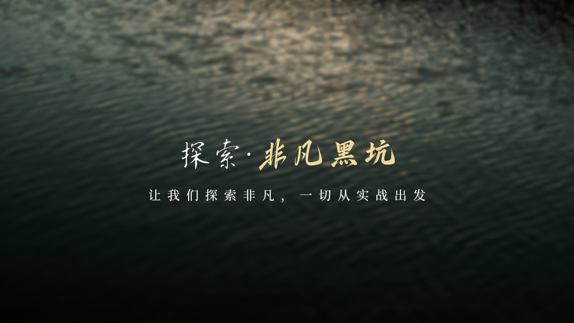 新品情报 | 沃鼎&middot;探索非凡 黑坑竿解读，一切从实战出发！