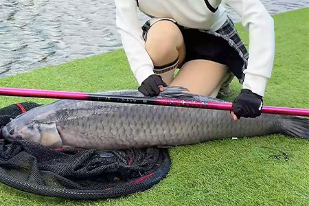 新品情报 | 王者神剑四代6.5H实钓，激战牛鼠峡30+大青！