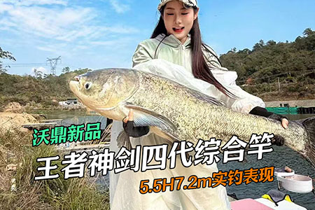 新品情报 | 沃鼎王者神剑四代5.5H&ldquo;剑&rdquo;指牛鼠峡，深水搏鲢鳙！