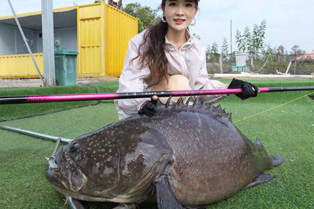 新品情报 | 沃鼎王者神剑四代6.5H实战70+龙趸，手到擒来！